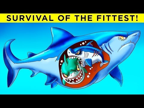 भगवान ऐसी माएँ किसी को भी ना दे | Worst Animal Parents