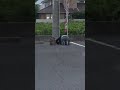 グーグルアースに写っている謎の女