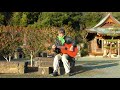 Asoman日記 2019年2月4日 / 神社にて