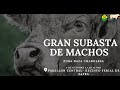 TRAILER SUBASTA DE ZAFRA