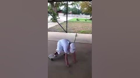 Trick tip Bert slide