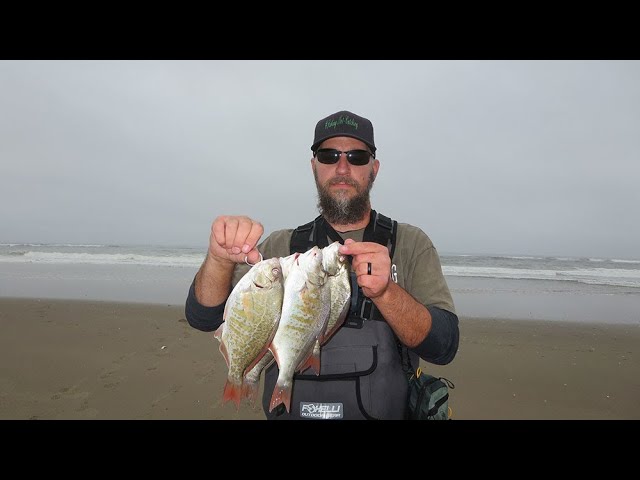 One of the Best Hooks for Bait Fishing/ Catch and Cook Surf Perch 