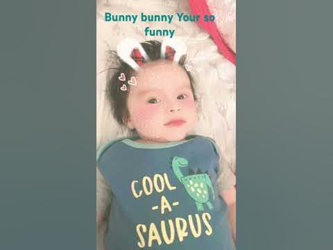 Bunny bunny bunny your so funny with your twitching nose☺️ - YouTube