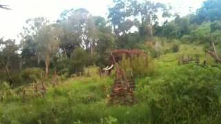 Elephant Crosses The Road, Part 2