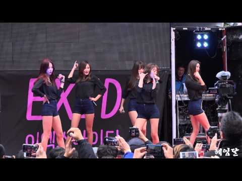 [14.11.30] EXID 매일밤 직캠 (명동 게릴라) by 헤임달