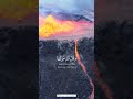 و س يق ٱل ذ ين ك ف ر و ا إ ل ى ج ه ن م ز م ر ا ح ت ى شريف مصطفى