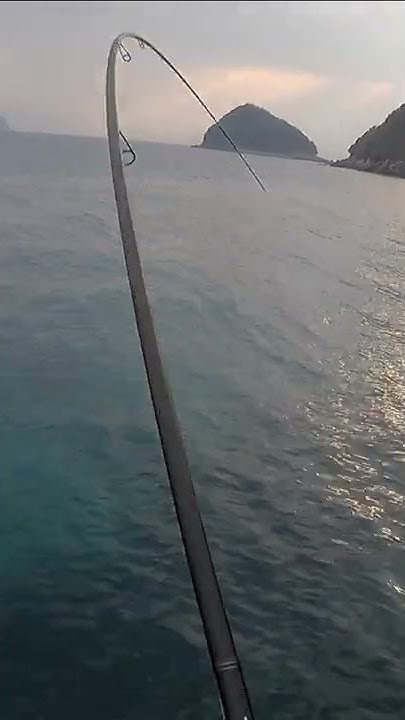 釣りいろは