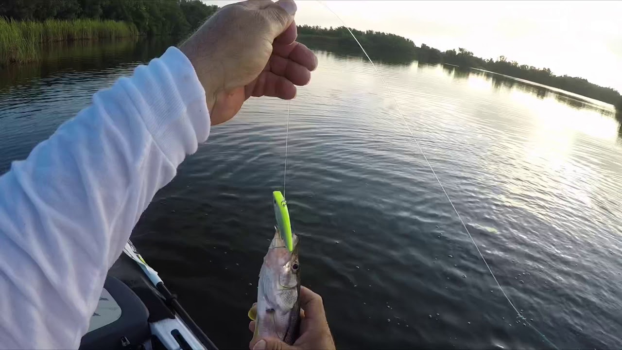 Kayak fishing Everglades National Park. YouTube