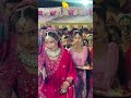 Ramlal ek Garib Kisan tha || #youtubeshorts #ytshorts #shorts #wedding