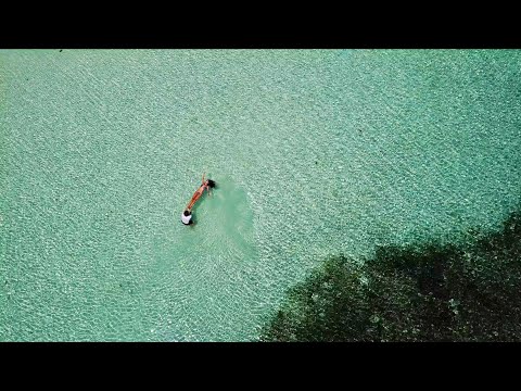 A Calling From The Source Janzu Seeflowing HD 