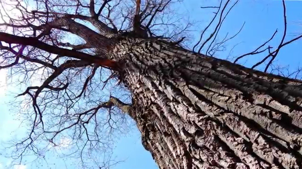 Michigan DSME Impact