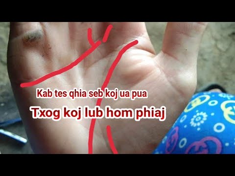 Video: Kev Saib Xyuas Tus Kheej Hauv Kev Npau Suav