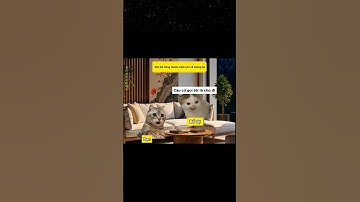 #funny #memes #haihuoc #catmeme #cat