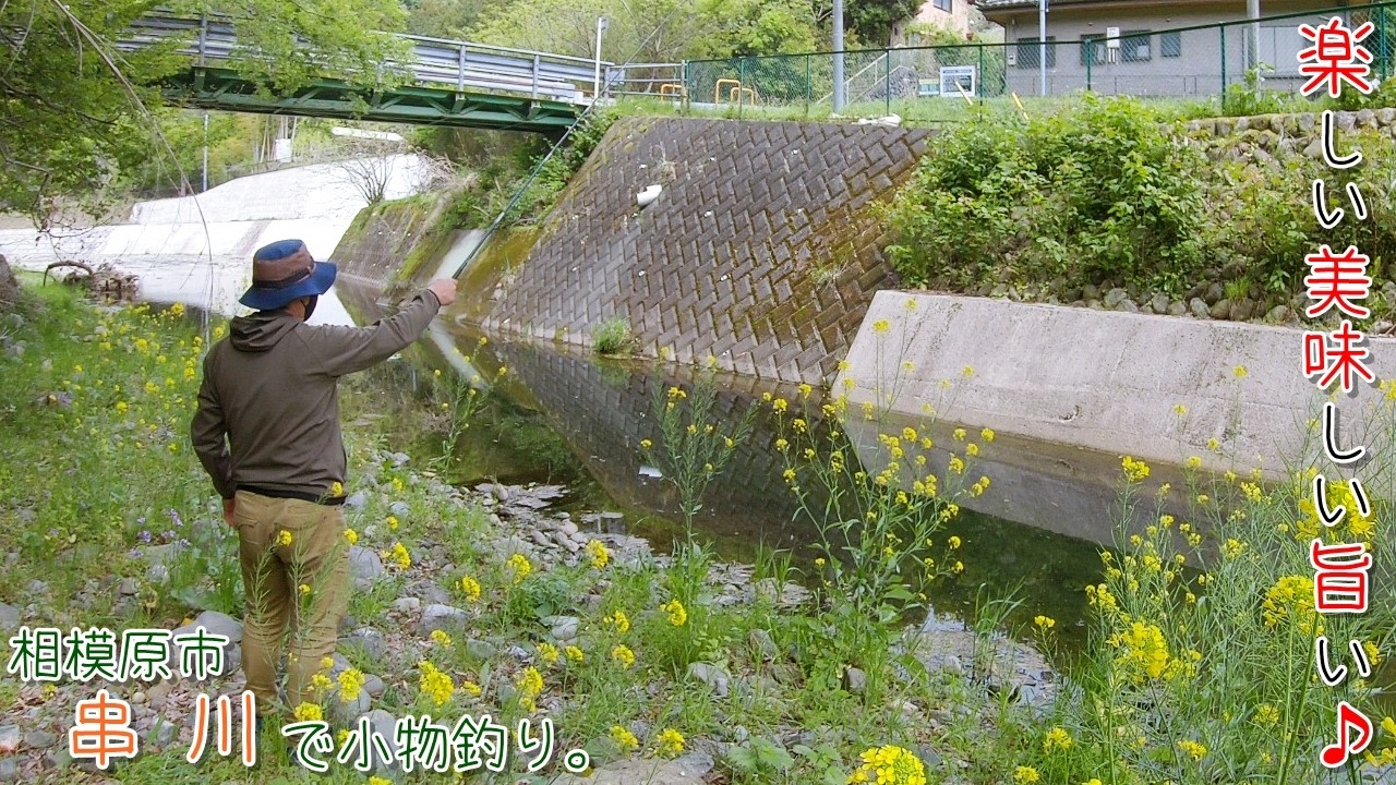 楽しい美味しい旨い♪ やっぱり春の川は楽しいし相模のお酒も旨いー♪ 相模原市 串川で小物釣り。