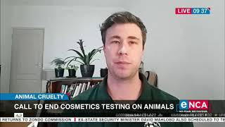Animal Cruelty | Call to end cosmetics testing on animals