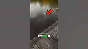 The 5 Most Dangerous Deep Sea Monsters Caught On Camera!