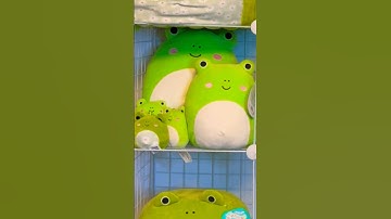 SQUISHMALLOWS FROGS - Finally!!! #squishmallows #shorts