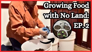 EPISODE 2: Transplanting My Beautifully Grown Seedlings! | Starting an Indoor Garden