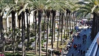 Exploring Vidcon 2016