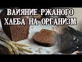 Бездрожжевой ржаной хлеб - кровь под микроскопом.