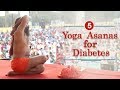 5 yoga poses to cure diabetes  swami ramdev