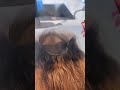 Jayda Cheaves Lace Wig install using TruMatch Lace Conceal shade "Bronze"
