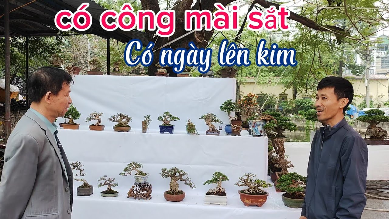 Dàn mi li lúc nào cũng ấn tượng tại triển lãm Triều Khúc 2026
