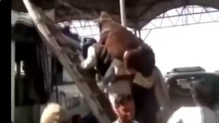 Лучшие Приколы 2015 Ржачные Видео Улётные Моменты Лучшие Приколы 2015 Ржачные Видео Улётные Моменты