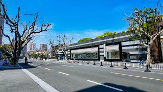 Tianyaoqiao Road, Xuhui District, Shanghai Walking Tour【4K】