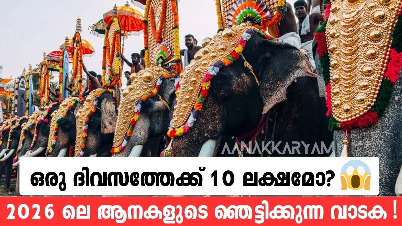 ഒരു ദിവസത്തേക്ക് 10 ലക്ഷമോ? 😱 2026 ലെ ആനകളുടെ ഞെട്ടിക്കുന്ന വാടക !  | Aanakkaryam