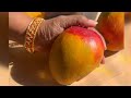 Mango juice|Mango milk shake |Mango smoothie|Summer drink|Summer treats |#youtube #mango #juice