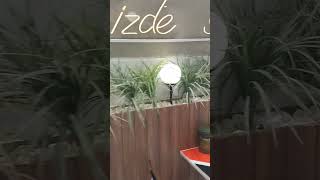 Allahın En Sevdiği 3 Kız Ismi Resimi