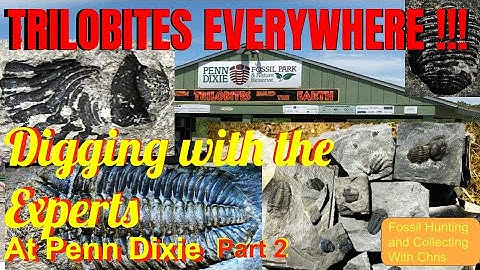 Trilobites Everywhere! Digging with the Experts Day 2. Fossil Hunting and Fossil Collecting w/ Chris