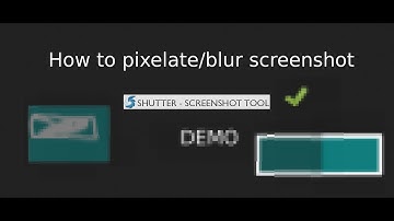 Screenshot editing using shutter