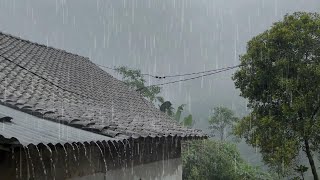 Sleep Instantly and Soundly !! Heavy Rain on the Tile Roof of an Ancient Shack House, ASMR Rain