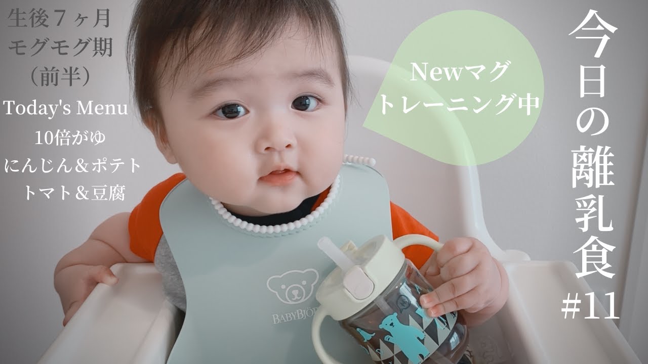 離乳食 中期 とある日の赤ちゃんの食事 11 マグ トレーニング ７ヶ月 赤ちゃん ご飯 モッパン Japanese Baby Mukbang モグモグ期 進め方 実例 Youtube