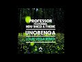 Professor ft ndu shezi thebe  unobenga louie vega rain remix