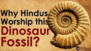 Why Hindus Worship this DINOSAUR FOSSIL?