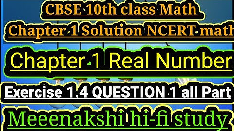 chapter 1 real numbers maths class 10 exercise 1.4