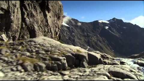 South Pacific / Wild Pacific (BBC) 5. "Strange Islands"