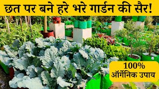 छत पर बने हरे भरे गार्डन की सैर और गार्डनिंग टिप्स आप भी बना सकते हैं | Terrace Garden Tour In Hindi