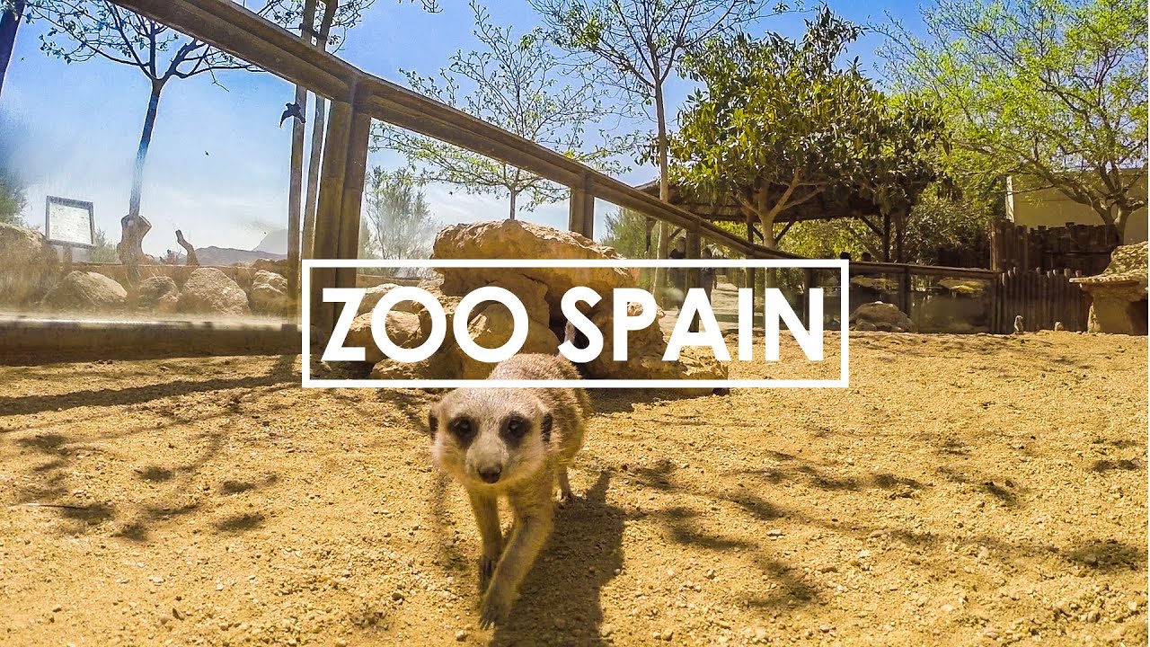 DA NON CREDERCI | ANDALUSIA • Vincenzo Troisio