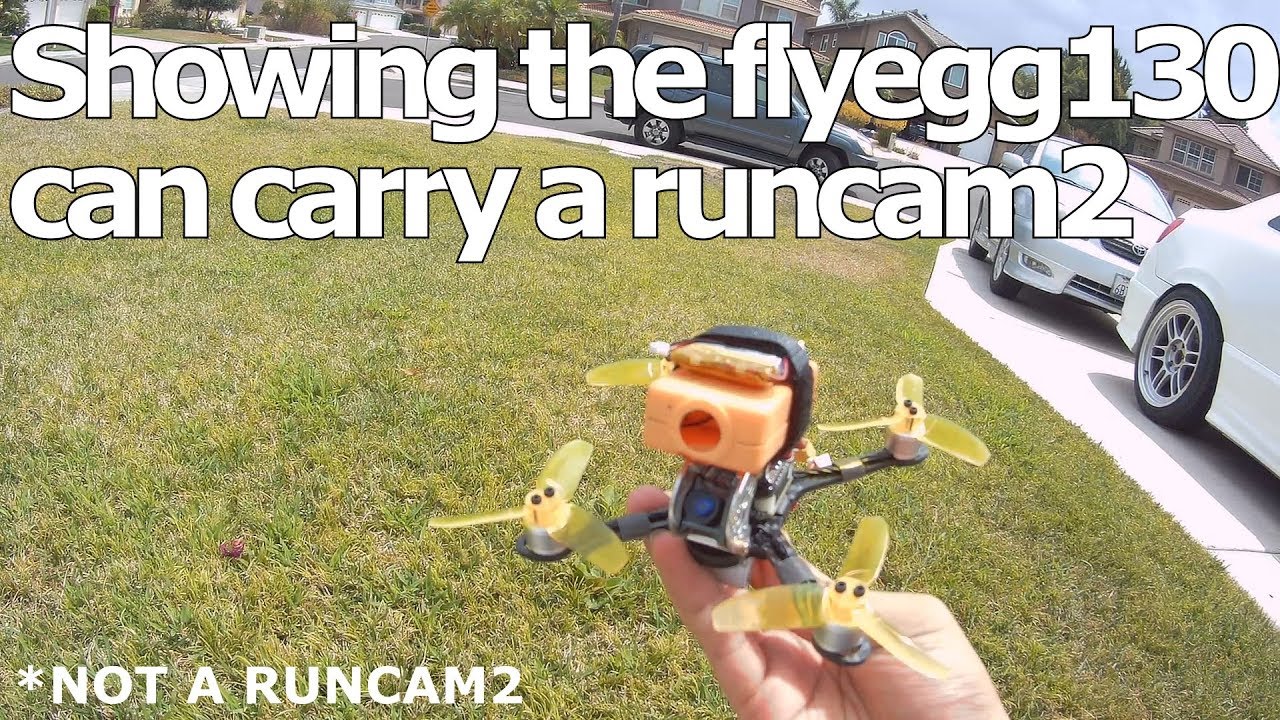 King Kong Flyegg  130 - Can it carry a Runcam2?