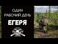 ЧЕМ ЗАНИМАЮТСЯ ЕГЕРЯ? | Рабочий день егеря в Охотхозяйстве ТИСС