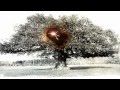 Jonny Greenwood - Pacay Tree (48 Responses to Polymorphia)