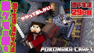 【ぽこなかくら＃279】地下生活29日目！廃坑～♪廃坑～♪仕事がすっき～！！【マインクラフト】