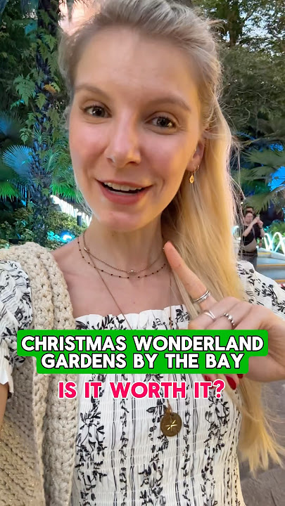 👎Christmas Wonderland is not worth it🇸🇬🎄