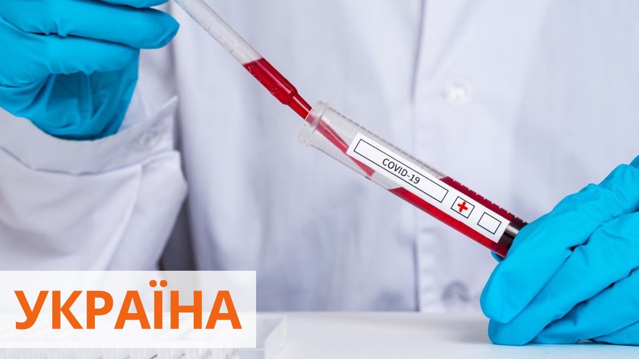 Абсолют помощь грант