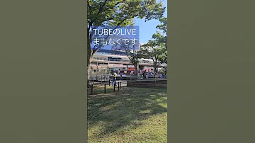 TUBE LIVE 