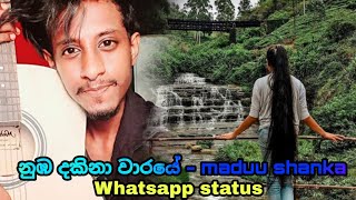 Vignette de la vidéo "Numba Dakina Waraye නුබ දකින වාරයේ    - Maduu Shanka  whatsapp status"